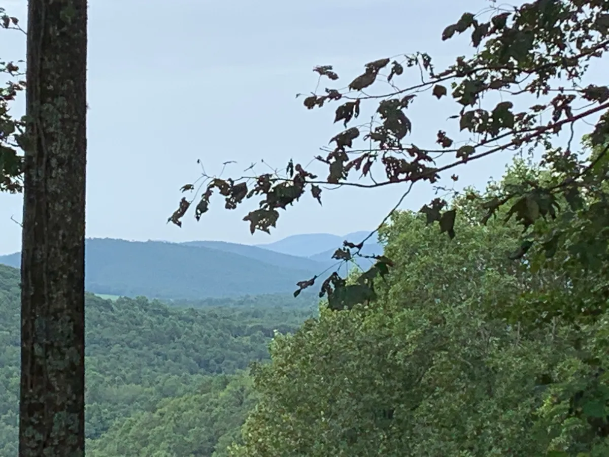 A panoramic view of the Blue Ridge mountain range framed by lush greenery and tree branches. The serene landscape invites exploration, adventure, and shared outdoor experiences, such as hiking or simply soaking in the vistas.